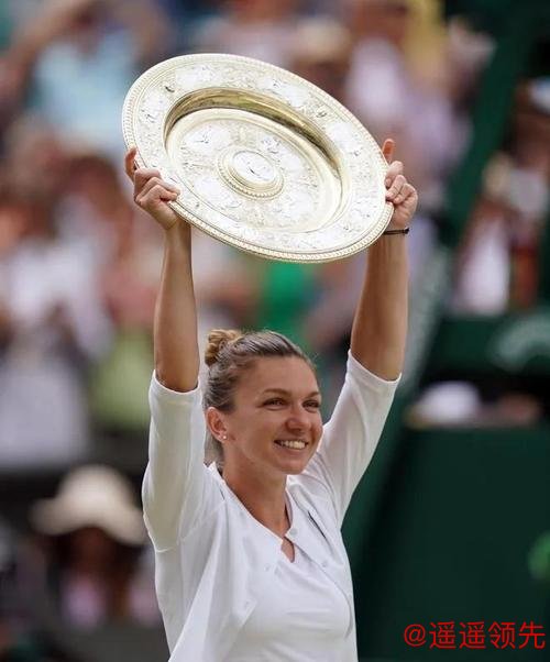 哈勒普上诉成功禁赛期减为9个月 随时可以复出