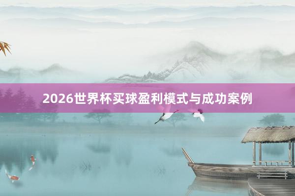 2026世界杯买球盈利模式与成功案例